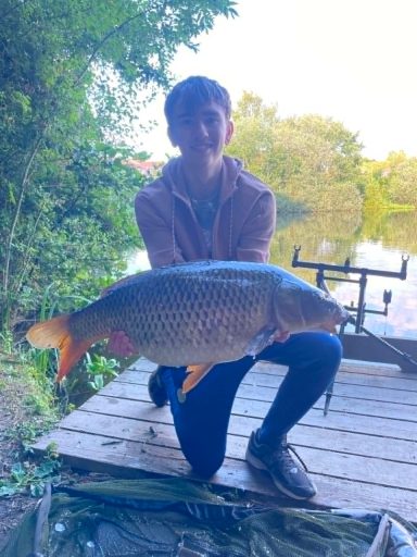 Duke Beesty - 18.5 lb Common - Radbrook Pool - Shrewsbury Town Fisheries